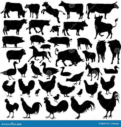 Detailed Vectoral Farm Animal Silhouettes Royalty Free Stock Image