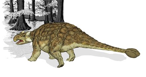 What dinosaur has spikes on its back and tail? Ankylosaurus — Wikipédia
