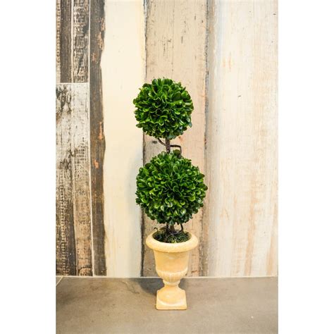Admired By Nature Faux Preserved Artificial Boxwood Topiary Plant