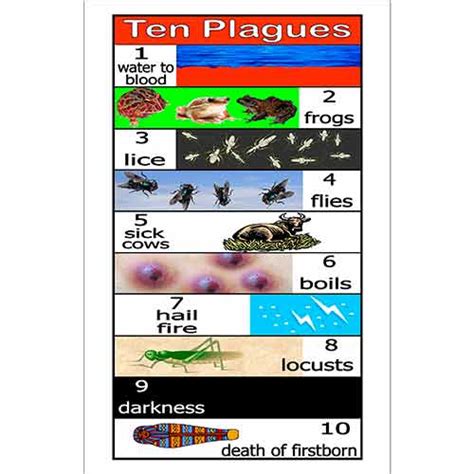 Ten Plagues Poster Old Testament Visual Aids