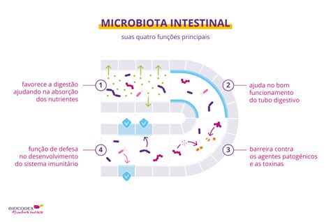 A Microbiota Intestinal Biocodex Microbiota Institute