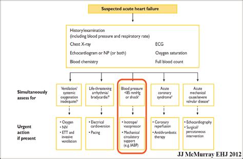 Acute Heart Failure Ahf What Do The New Guidelines Say The