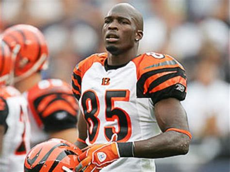 View complete tapology profile, bio, rankings, photos. Unemployed receiver Chad Johnson reaches out to Texans ...