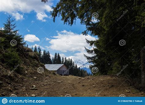 Long Forest Road Stock Photo Image Of Wilderness Road 218642706