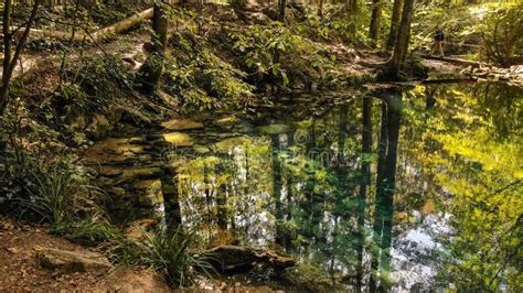Beautiful Pond In The Forest Lacul Ochiul Beiulu Stock Image Image Of