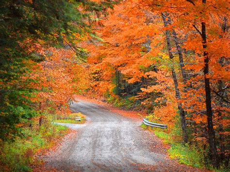 8 Most Beautiful Places In New England To See Fall Foliage Trips To