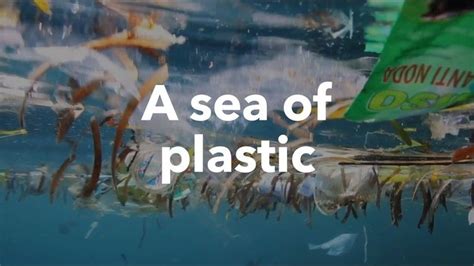 Hp Ikea Scooping Up Ocean Plastic — Bloomberg Plastic Waste Plastic