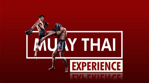 muay thai experience vexplore tours