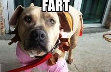 fart hilarious farting uploaded user
