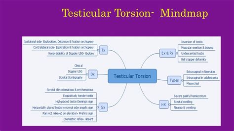 Scrotal Swellings 2 Torsion Testis