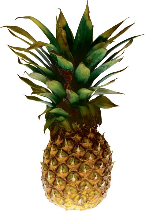 Pineapple Png Image Free Download