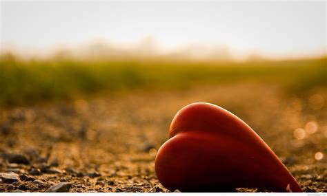 Aug 02, 2020 · love is a set of emotions and behaviors characterized by intimacy, passion, and commitment. Lonely love wallpapers images