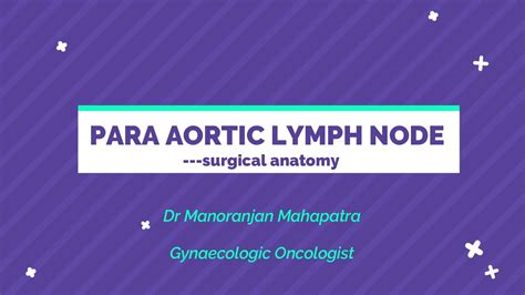 Para Aortic Lymph Nodes Surgical Anatomy Paln Para Aortic