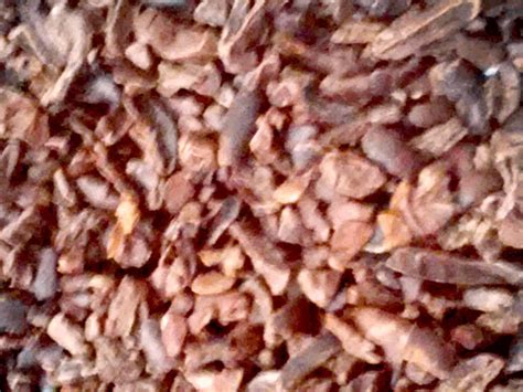 PT Mandala Prima Makmur | Cocoa Processor and Chocolate Drink Producer