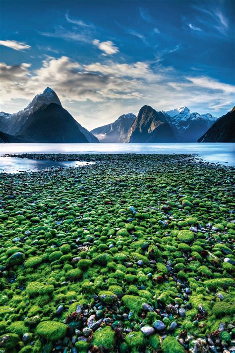 P N Fiordland Isla Sur Nueva Zelanda La Mayor Reserva Neozelandesa