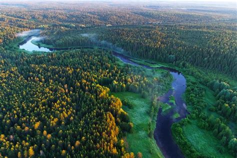 Choáng Ngợp Trước Vẻ đẹp Kỳ Vĩ Của Rừng Taiga ở Nước Nga