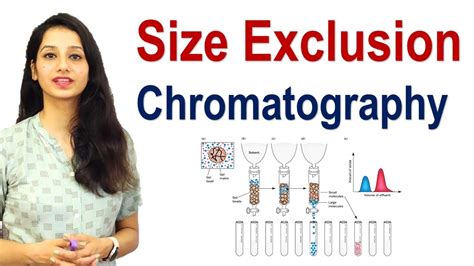 Size Exclusion Chromatography I Gel Filtration I Molecular Sieve