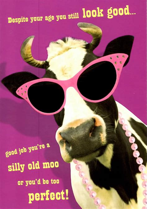 Silly Old Moo Funny Joke Happy Birthday Card Humour Greeting Cards