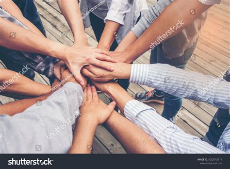 2065 Business Team Showing Unity Their Hands Images Stock Photos