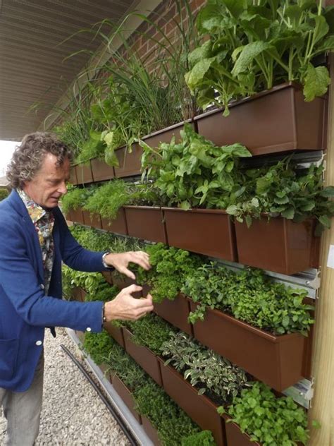 Growing Food In Vertical Garden Herb Garden Wall Fenced Vegetable