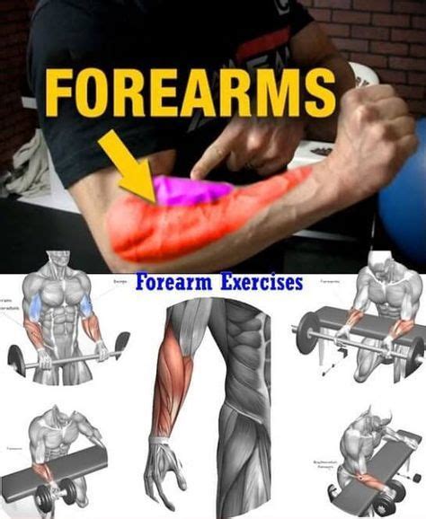 6 Of The Best Forearm Exercises For Muscle Growth And Strength For