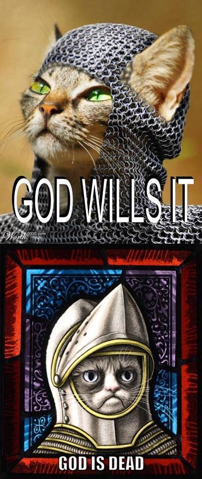 God Wills Grumpy Cat Grumpy Cat Know Your Meme
