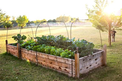 Raised Vegetable Garden Ideas And Designs Garden Layout Raised Bed