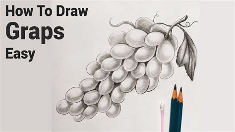 Details 77 Grapes Pencil Sketch Ineteachers