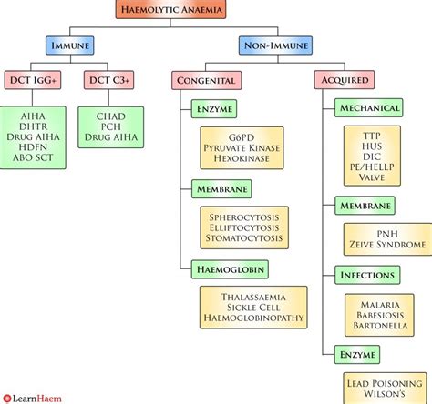 Classification Of Haemolysis Learnhaem Haematology Made Simple