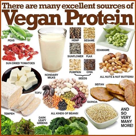 Vegan Protein Foods You Should Be Eating More Often Fitneass