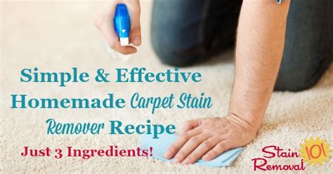 Homemade Carpet Stain Remover Recipe Simple And No Scrub