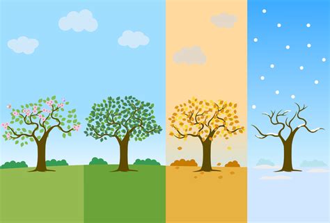 Tree In Four Seasons Of Year Spring Summer Fall Autumn And Winter
