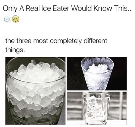 Pin by ♔ A L I C I A ♔ on ツ тяυє ѕнιт ツ | Relatable, Tumblr funny, Memes