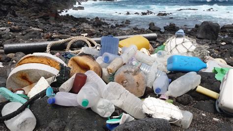 Scientists Sound Alarm On Plastic Pollution Asu News