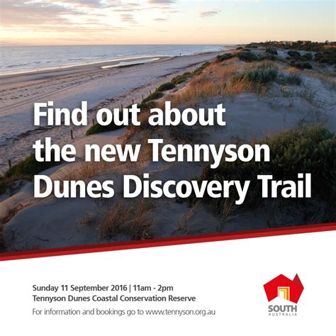 New Tennyson Dunes Discovery — Stephen Mullighan Mp