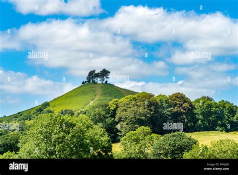 Colmers Hill Near Symondsbury Dorset Uk Stock Photo Alamy
