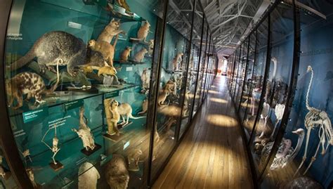 Whats On At Tring Natural History Museum