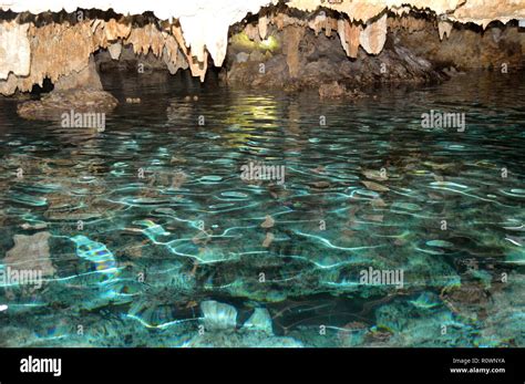 Cenotes And Caves Mexico Stock Photo Alamy