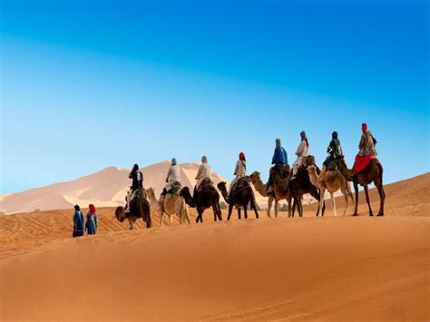 Sahara Desert Information Location Facts And History Nativeplanet