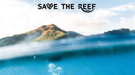In Save The Reef Babe Filmmaker Sought To Inspire Rather Than Discourage