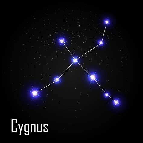 Cygnus Constellation With Beautiful Bright Stars On The Background Of