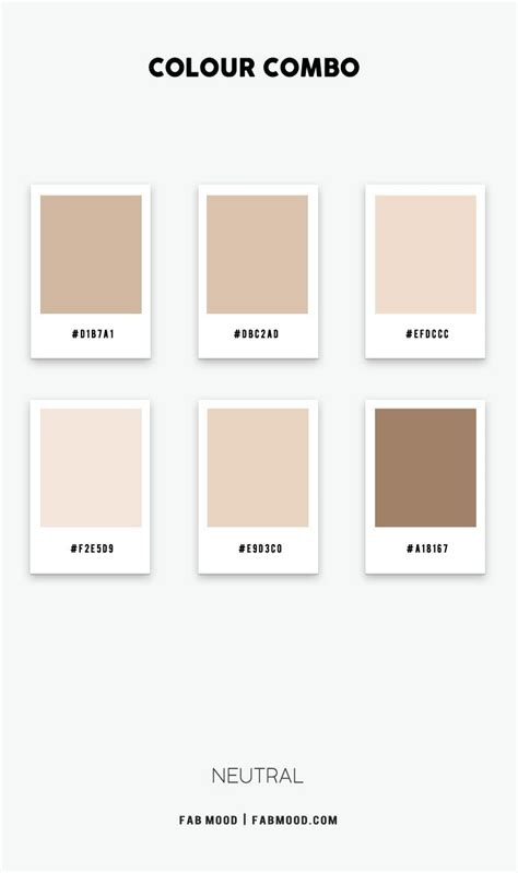 Beige Color Combo Colour Palette In Vintage Colour Palette