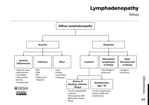 Lymphadenopathy Diffuse Blackbook Blackbook