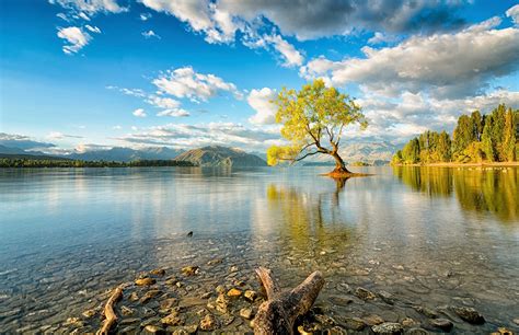 New Zealand Nature Lake Trees Reflection Wallpapers Hd Desktop