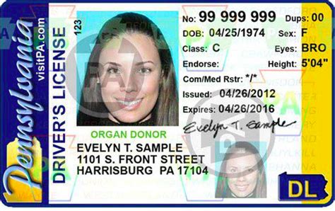 There are two types driver's licenses & id cards. PennDOT unveils design for new Pennsylvania driver's ...