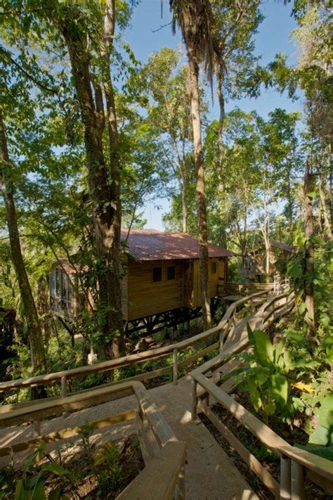 Belize Tree Houses Belize Treehouse Resorts River View Caves