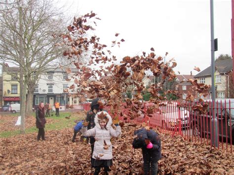 So Many Leaves At Garrison Lane Park With Bvcs Birmingham Trees For