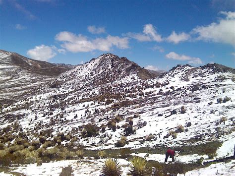 Serpositivo Nevada En Las Cercanías Del Pico El Aguila Edo Mérida