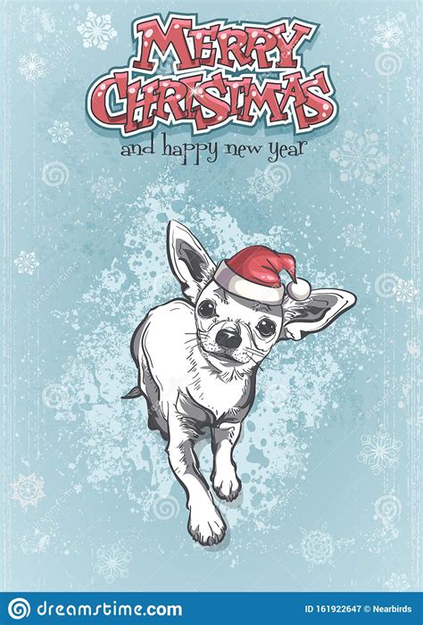 Funny Chihuahua In Santa Hat Of Merry Christmas Stock Vector