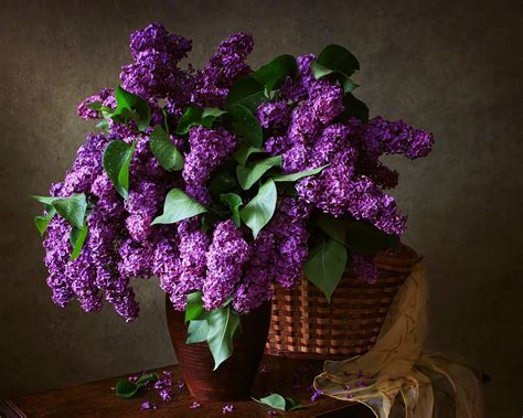 Still Life With A Bouquet Of Lilacs By Daykiney On Deviantart